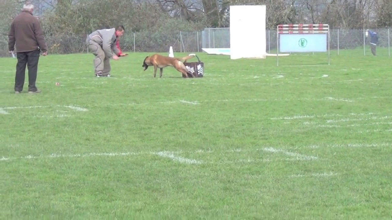 Best off des sélectifs 2015 Axel VILLAIN