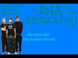 DNA Replication Song