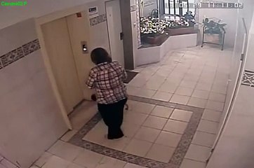 Dog escapes near death from elevator
