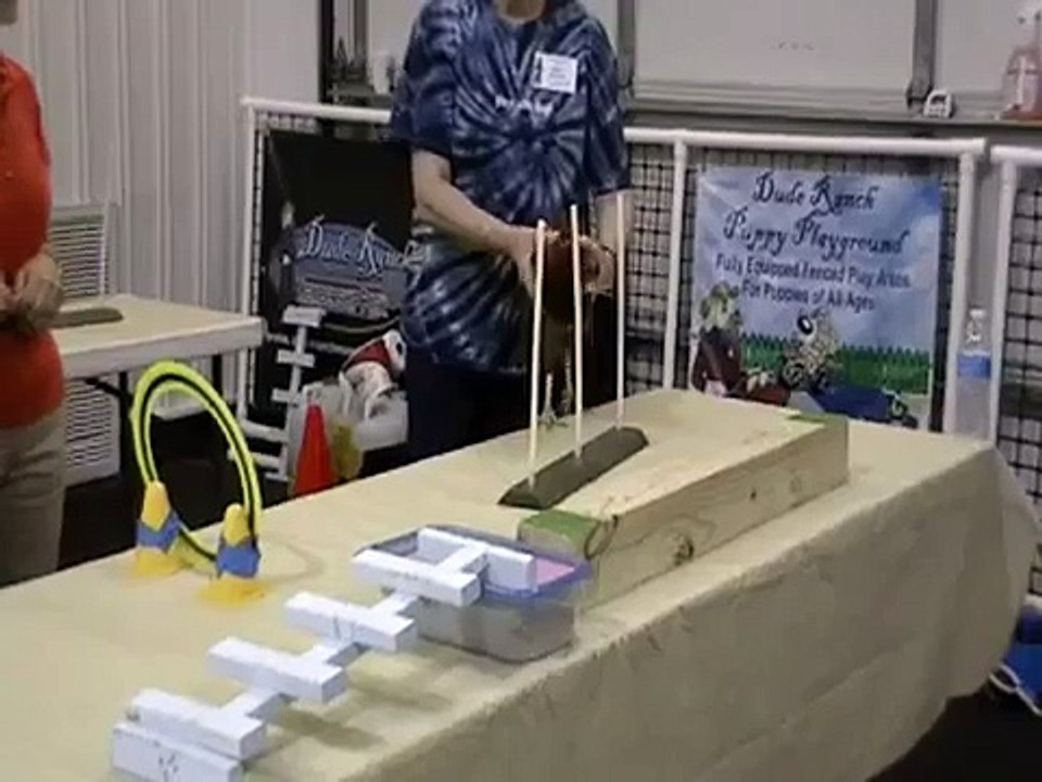 Chaining Behavior - Chickens