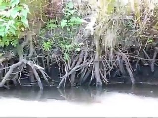 My God! It's full of Flying Rods!