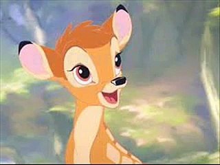 Cartoon Animals University cast video