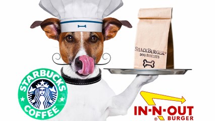 6 Secret Doggy Menu Items From Your Favorite Restaurants