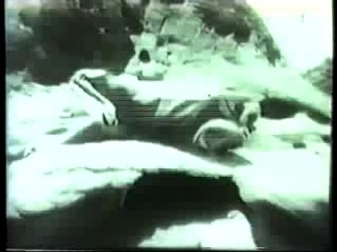 1968 Mercury Cougar TV Ad