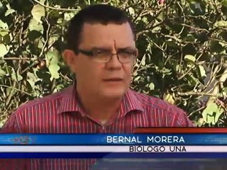 Monstruos milenarios asecharon el planeta hace millones de a�os