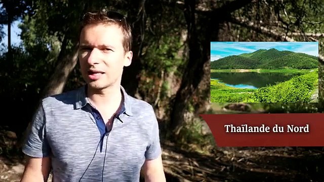 Devenez AUTEUR professionnel rapidement !