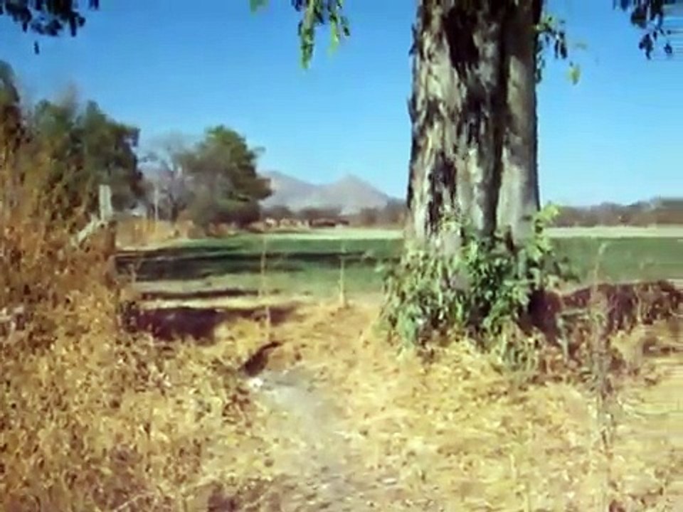 Rastreo de persona extraviada.