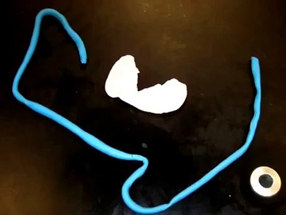 Honors Biology Cell Division Project | biology experiments for class 9, | science activities