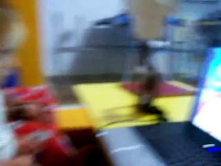 canticuentos  El pajaro carpintero