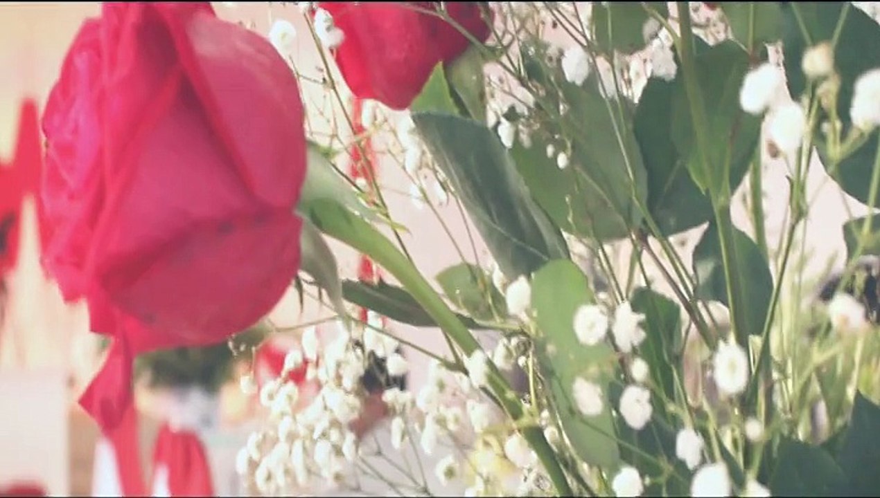 Aline e Jacsom Clipe Casamento