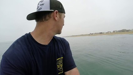 GREAT WHITE SHARKS SURFING