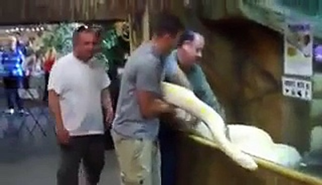 boys playing with snake