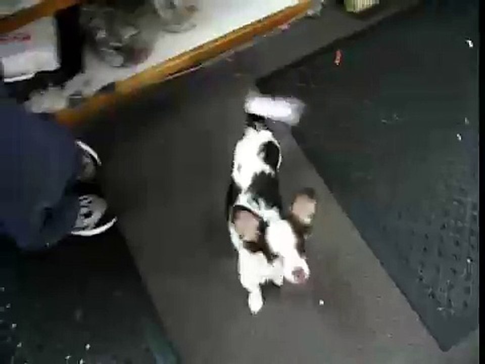 Walk Like A Man