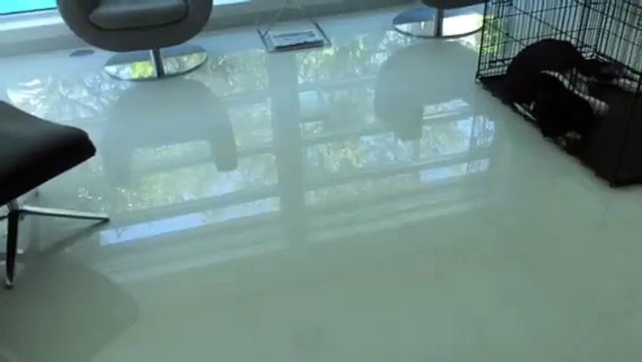 grout cleaning coral gables