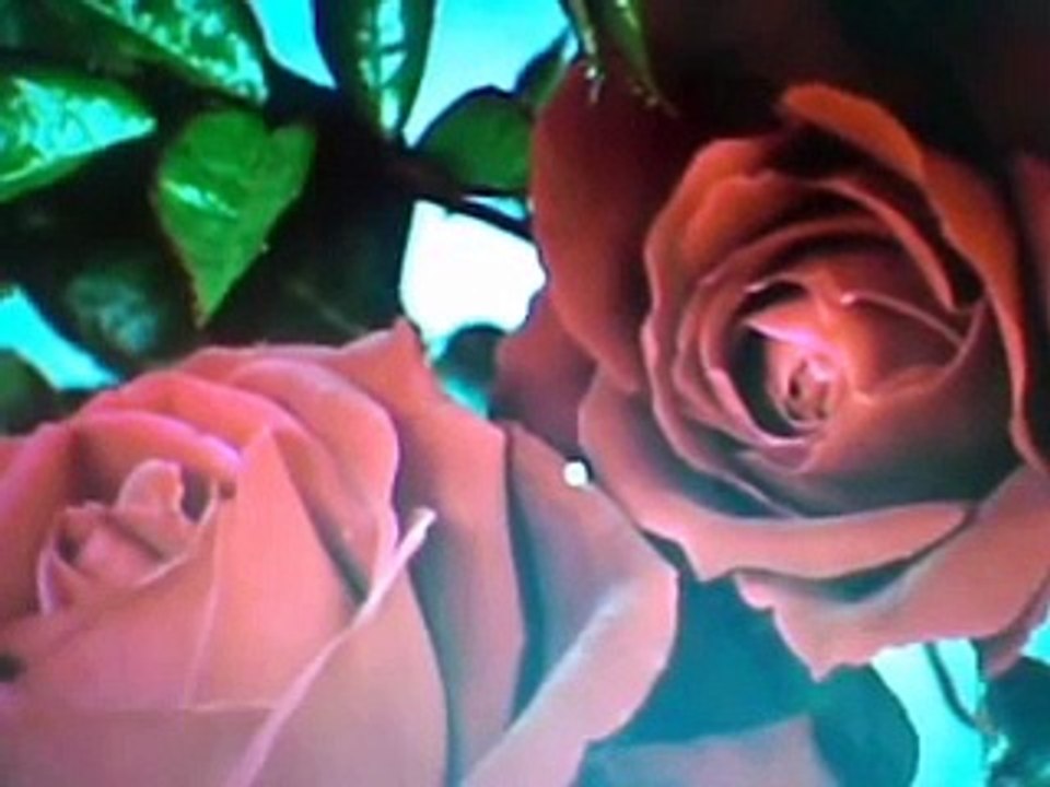 TOATE FLORILE DIN LUME-Anisoara Puica