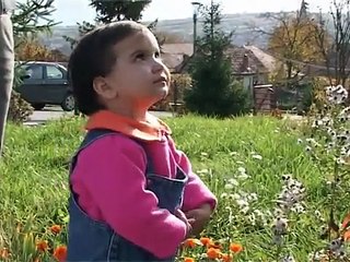 Sos Satele Copiilor Romania