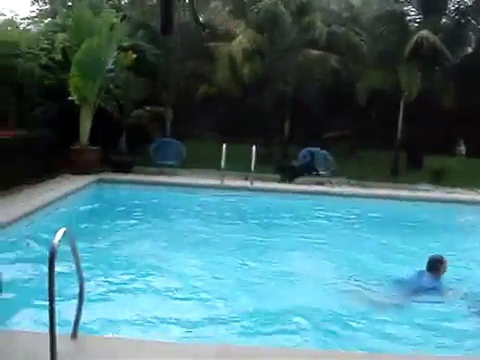 Dog pushed people to water.