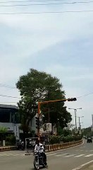 shivaay new video by sony hungama present