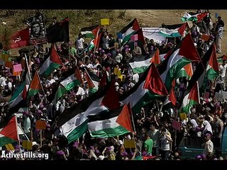 Palestine, les marchands de rêve