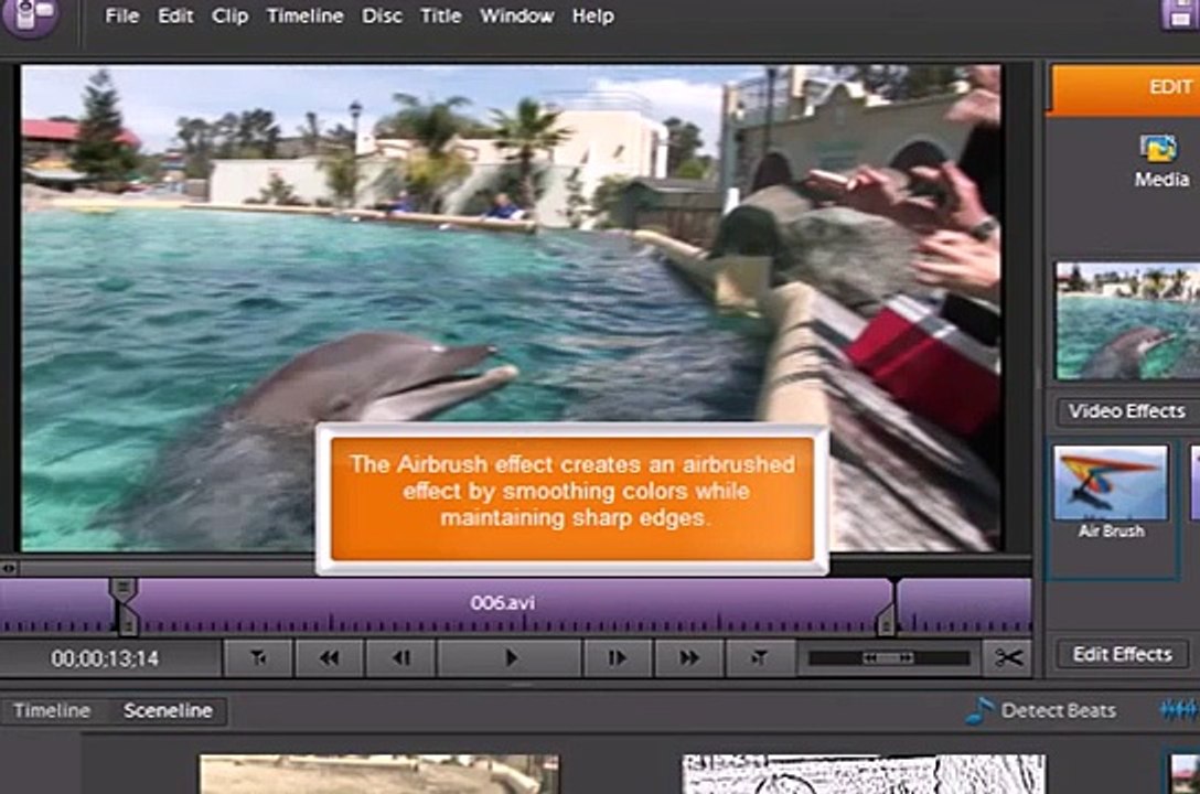 Adobe Premiere Elements Effects and Transitions