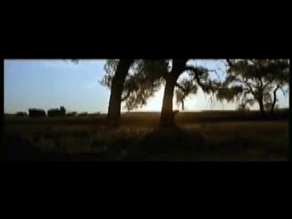 Dances With Wolves