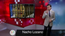 Nacho Lozano. Los Tucanes le tiran a las escopetas.