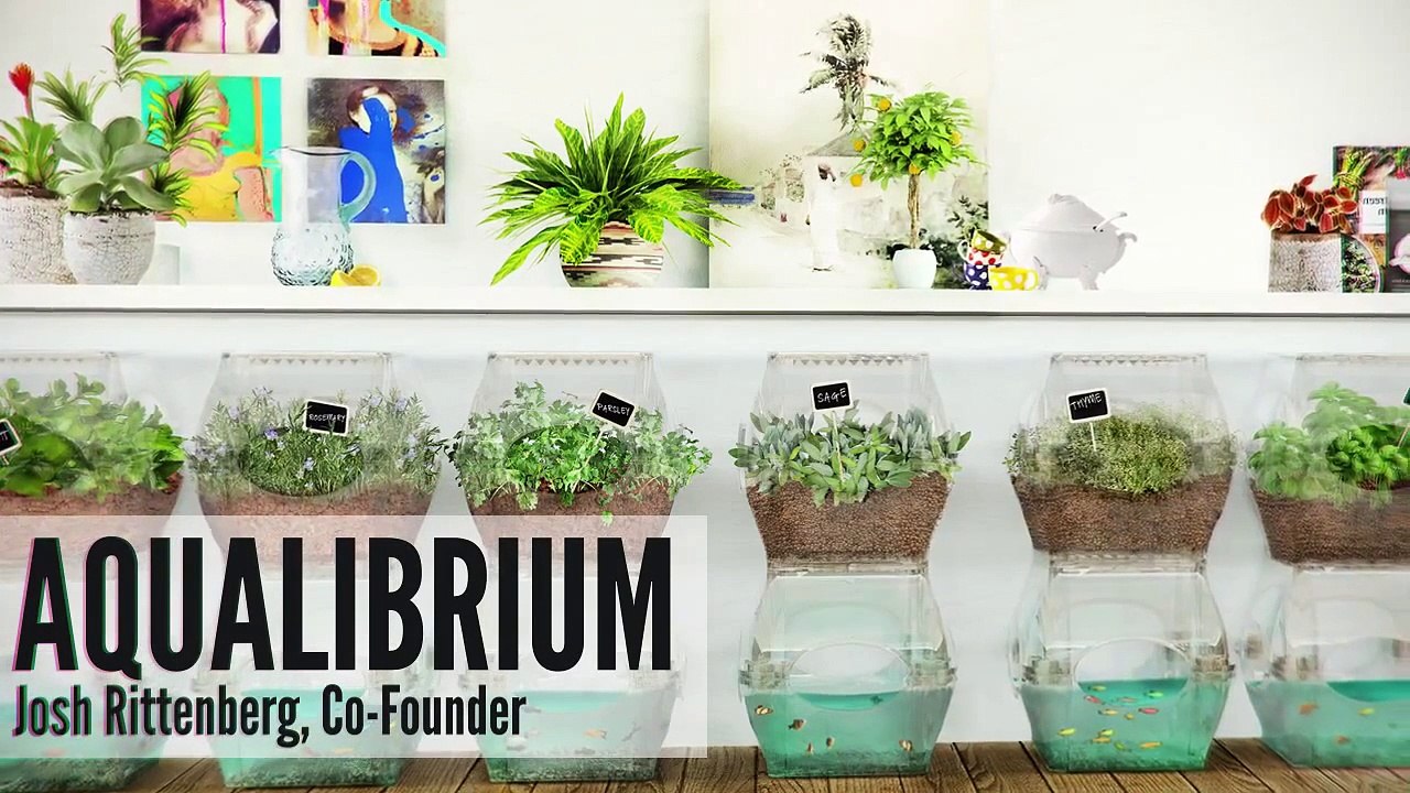 Aqualibrium ~ Republic Hydroponics