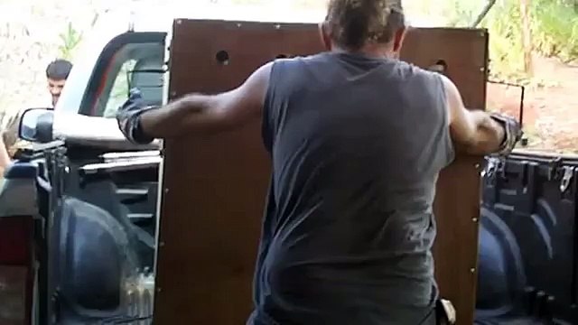 Traslado de perezoso de tres dedos al Centro de Rescate Paraíso Carlisa. Toma de datos y suelta.