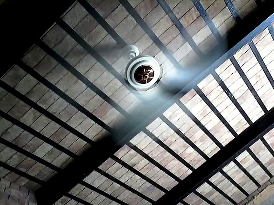 fan
