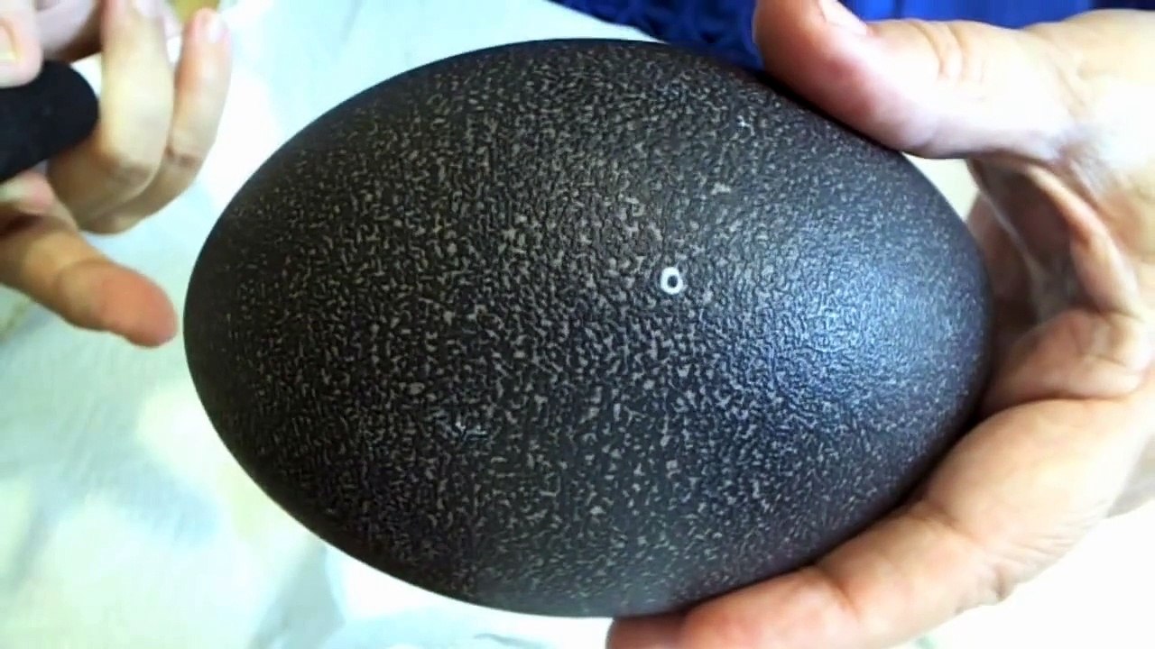 How to Etch Emu Eggs to create Pysanky or Batik style Etched Etching Eggshell