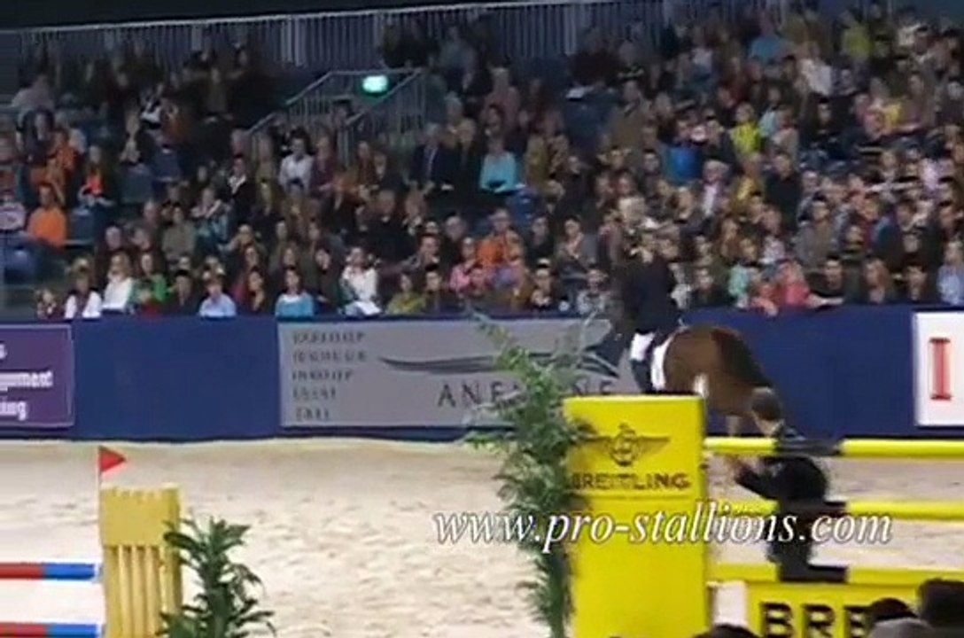 Take a Bow- Horses
