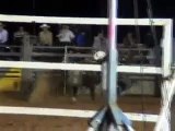 Spalding Rodeo