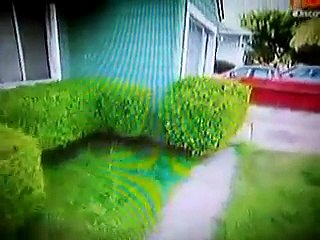 ACUMULADORES  COMPULSIVOS