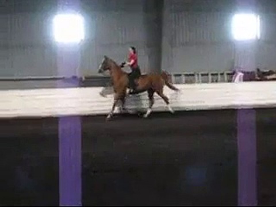 Wouldn't It Be Nice to have Fun Fun Fun with Dios