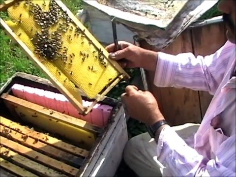 Sivas İmranlı TÜRKKEŞLİK KöYü Belgesel kıvamında Arıcılık hakkında kucuk bir söyleşi