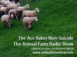 "The Ace Baker Staged Suicide" The Animal Farm Radio Show