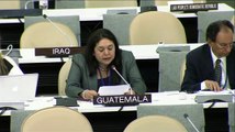 Comentarios de Guatemala ONU a informe PI y Democracia -ONU Guatemala-