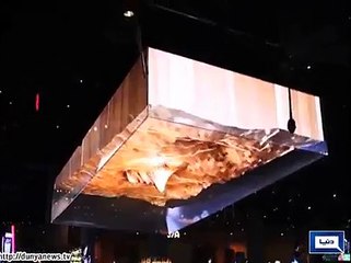 Dunya News_ Light stories from all over the world