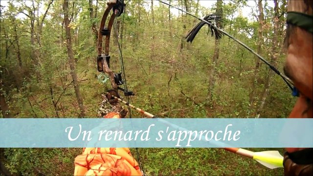 Mes dernières sorties à l'arc