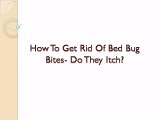 How to get rid of bed bug bites - How long do they last