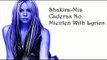 Shakira-Mis Caderas No Mienten with lyrics