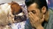 Salman Khan MOURNS OVER Death of his pet dog 'Saint'