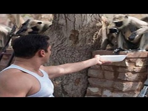 Salman Khan plays around with MONKEYS | Prem Ratan Dhan Payo