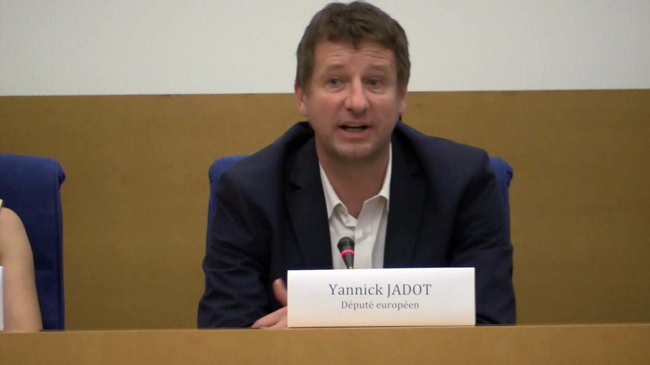 Débat TTIP : Yannick JADOT, introduction