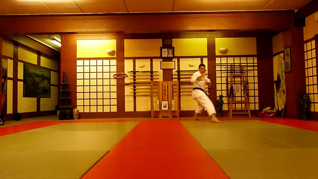 Heian Nidan Shotokan Karate Kata