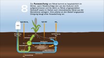 Stickstoff-Kreislauf und Umsetzung von Dünger-Stickstoff im Boden