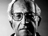Noam Chomsky - Enlightenment Principles