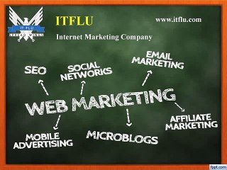 Online Reputation Management Company | ITFLU