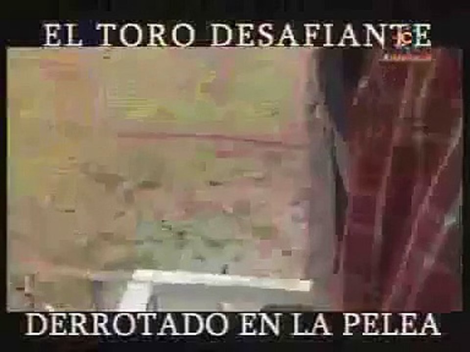 El toro desafiante -  Derrotado en la pelea