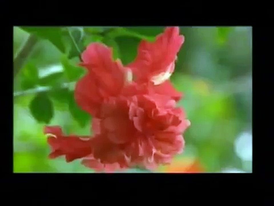 Lagu Negaraku